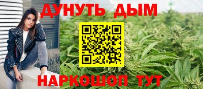 индика Комсомольск-на-Амуре